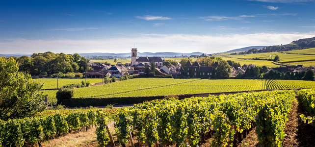 Burgundy Wine Driving Tour - 5 Days - European Driving Holiday